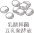乳酸桿菌豆乳発酵液